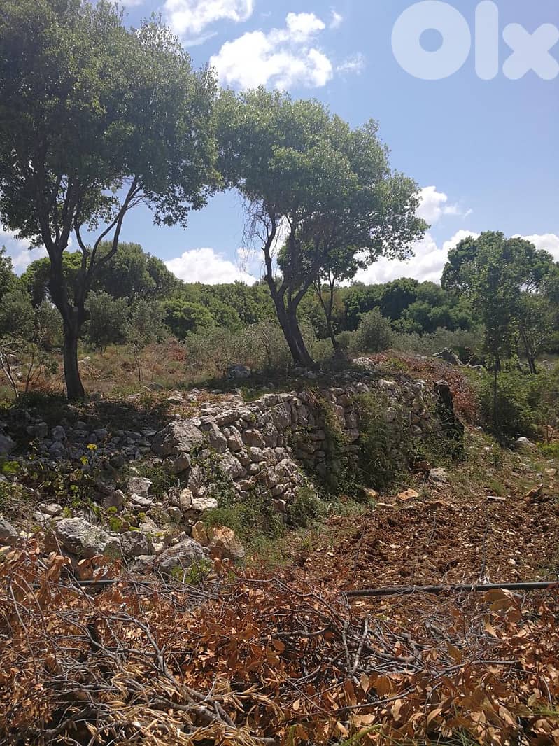 Land for sale in Mrah El Ziyet-Batroun أرض للبيع في مراح الزيات 0