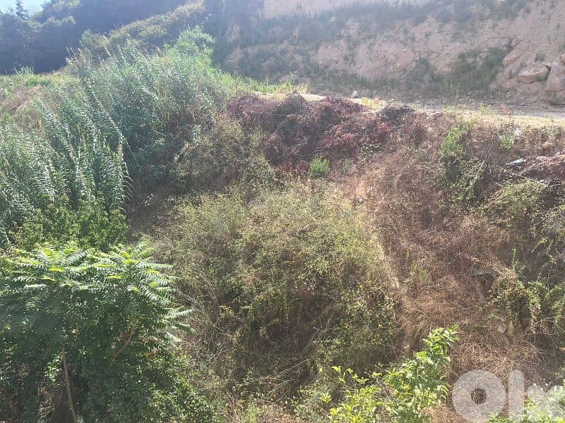 land for sale in awkar أرض للبيع في عوكر 1