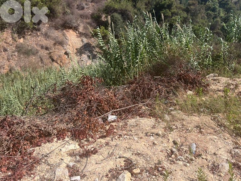 land for sale in awkar أرض للبيع في عوكر 9