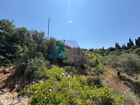 3262m2 Land+Sea/mountain View 4sale in Mounsef/Jbeil-أرض للبيع في جبيل 1