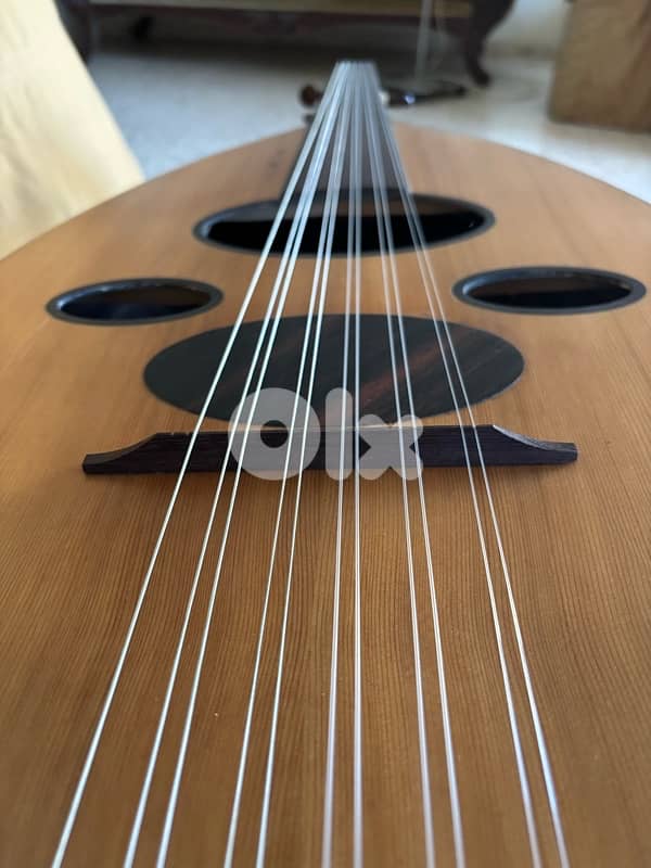 oud عود خشب جوز 5