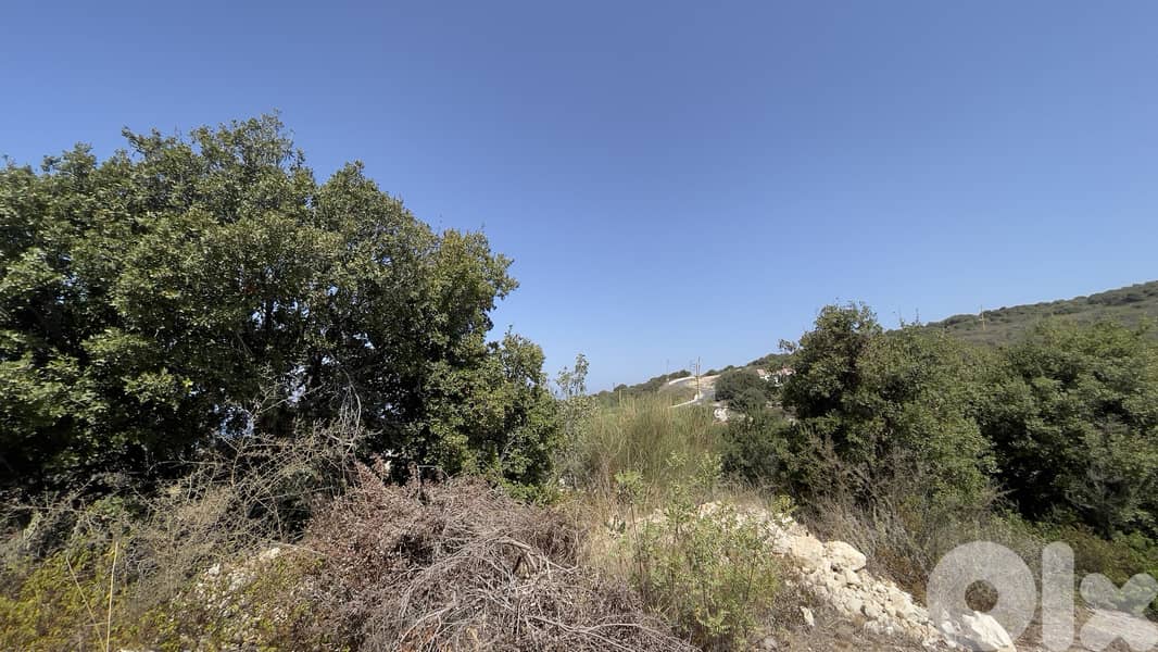 RWB281CA - Land for sale in Berbara Jbeil 1