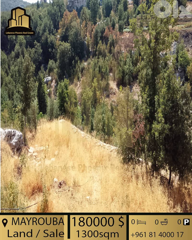 Prime Location 1300 sqm Land in Mayrouba with open mountains view . 3