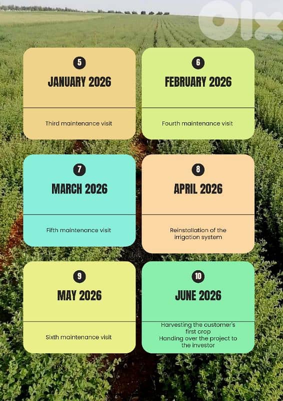 thyme project. مشروع زراعي مكتمل 1