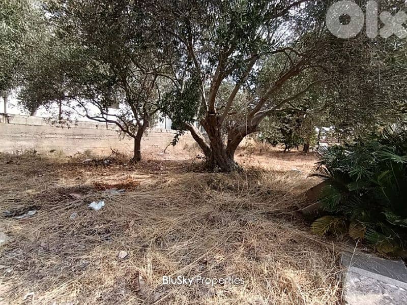Land For SALE In Bouar أرض للبيع #ES 0