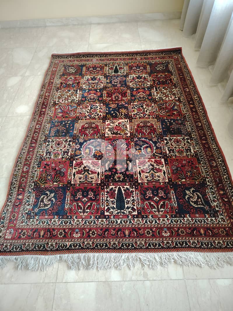 Bakhtiar wool 1