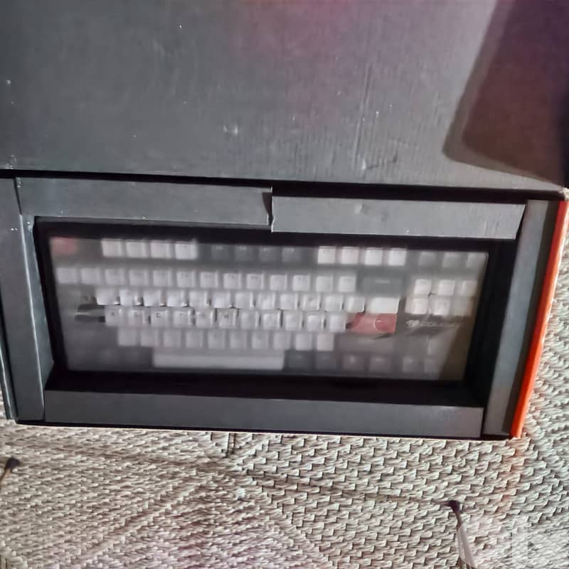 tkl keyboard cougar puri rgb 1