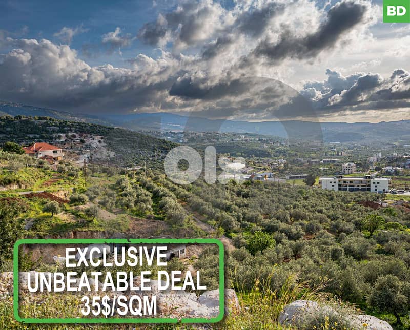 EXTREMELY CATCHY DEAL - Rechdebbine Koura REF#BD119432 0