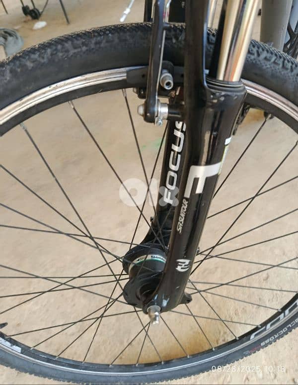 focus hybrid bike byetzabat lse3er ba3te ma3a kaza hdiye 3