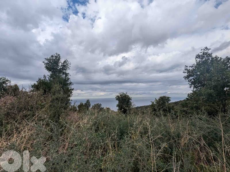 Land For Sale In Berbara | Open View | أرض للبيع | PLS 26246 0