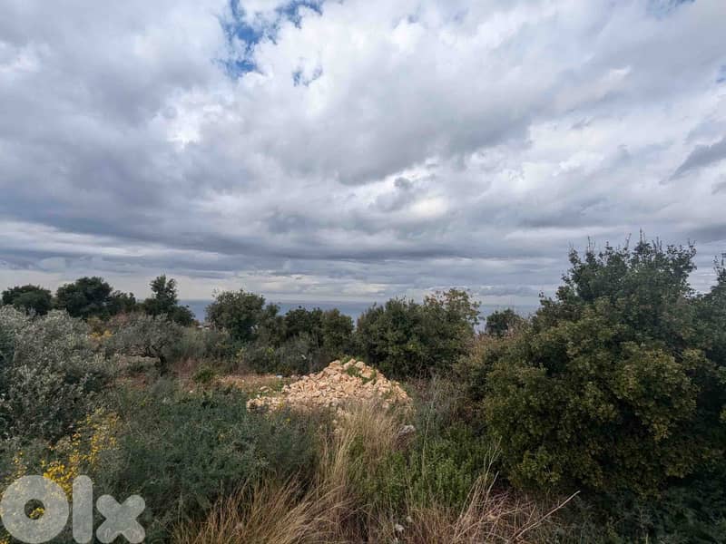 Land For Sale In Berbara | Open View | أرض للبيع | PLS 26246 1