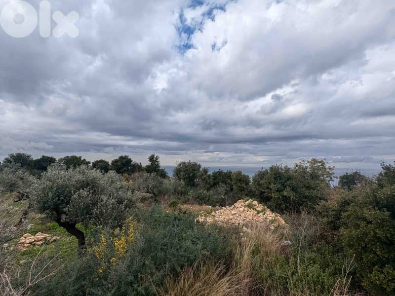 Land For Sale In Berbara | Open View | أرض للبيع | PLS 26246 2