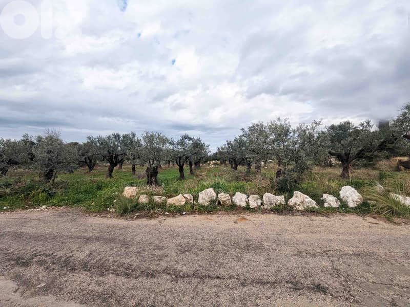 Land For Sale In Berbara | Open View | أرض للبيع | PLS 26246 6