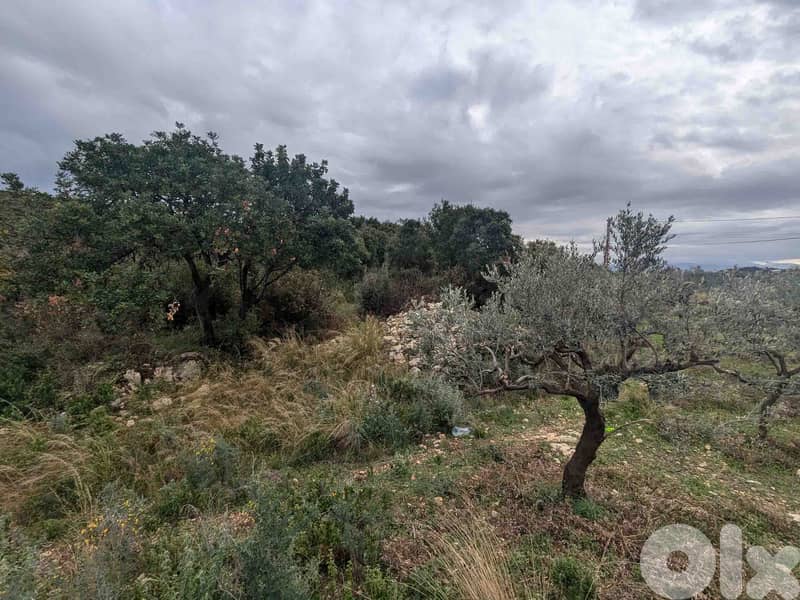 Land For Sale In Berbara | Open View | أرض للبيع | PLS 26246 7