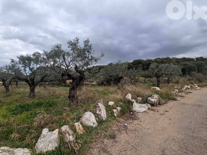Land For Sale In Berbara | Open View | أرض للبيع | PLS 26246 10