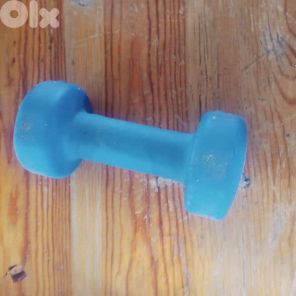 bodybuilding 0
