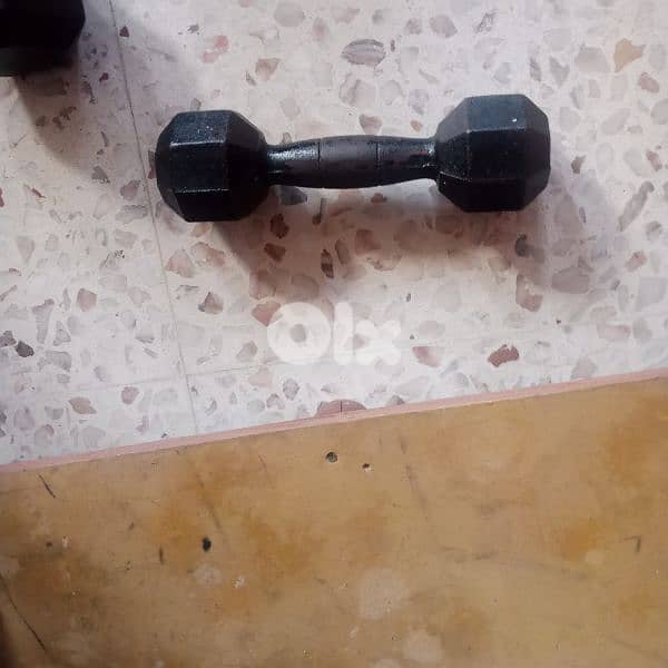 bodybuilding 3