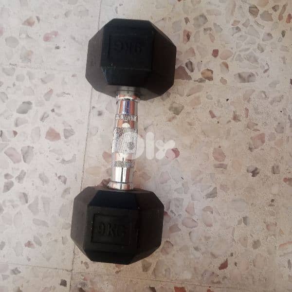 bodybuilding 5