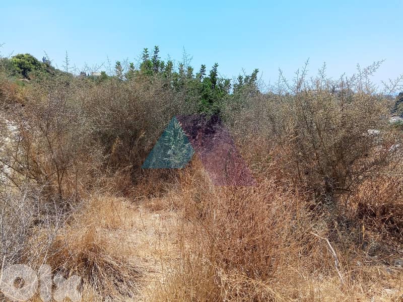 1047m2 land+sea view -Prime Location -4sale in Batroun -أرض في البترون 1