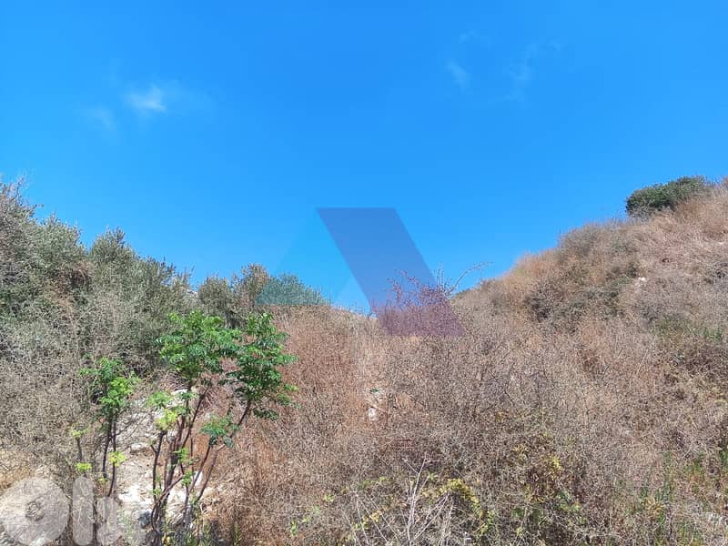 1047m2 land+sea view -Prime Location -4sale in Batroun -أرض في البترون 3