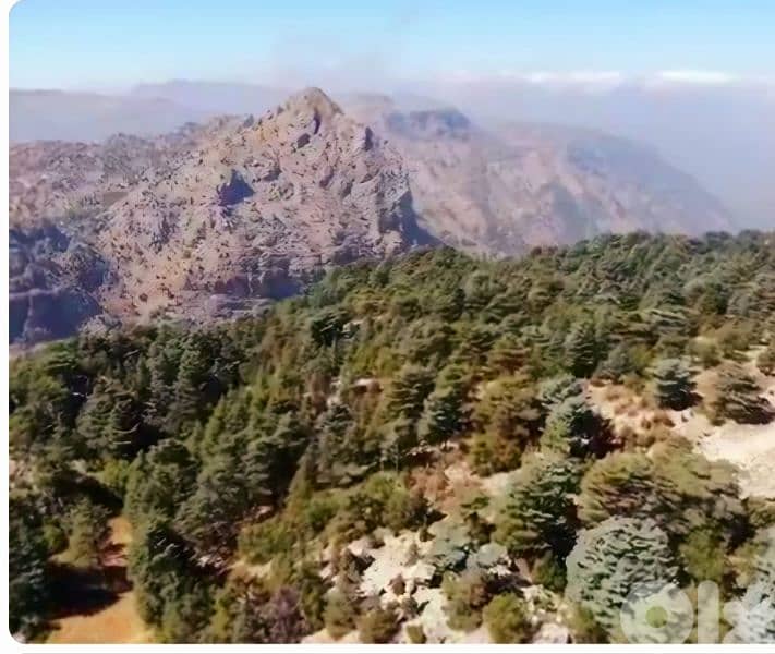 lands for sale in tannourine أرز تنورين 7