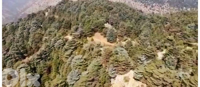 lands for sale in tannourine أرز تنورين 8