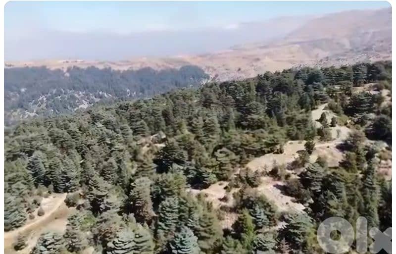 lands for sale in tannourine أرز تنورين 9
