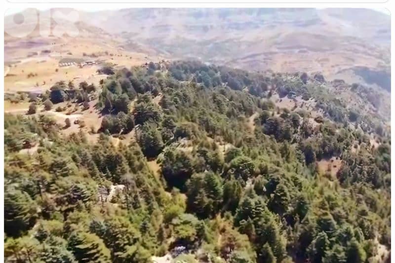 lands for sale in tannourine أرز تنورين 10