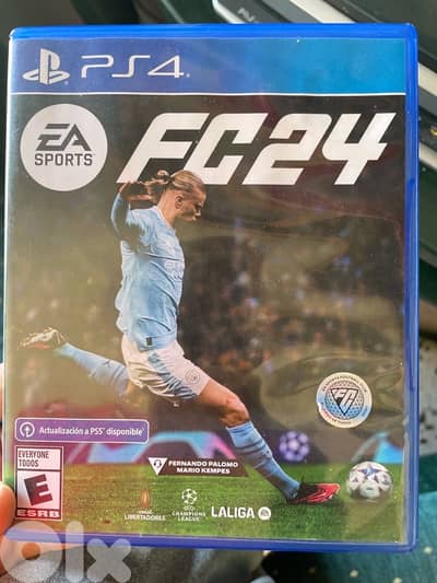 fifa 24
