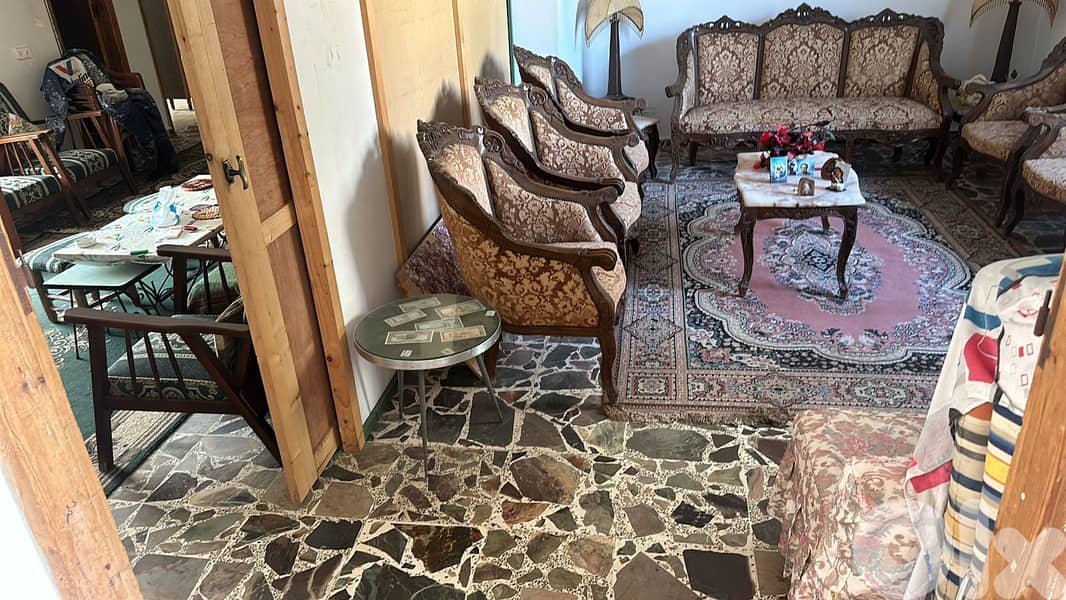 vintage salon, classic antique-style living room 0