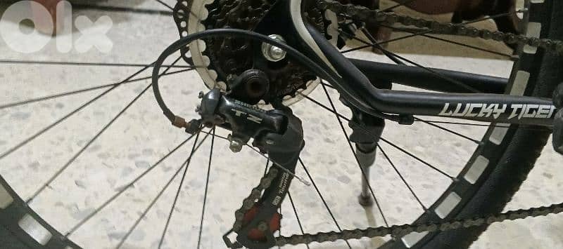 26" bicycle 2