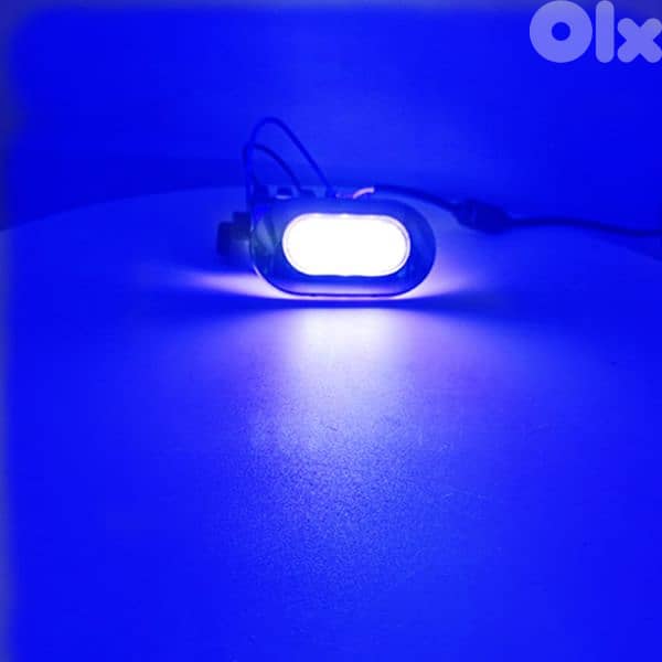 marine courtesy light 1