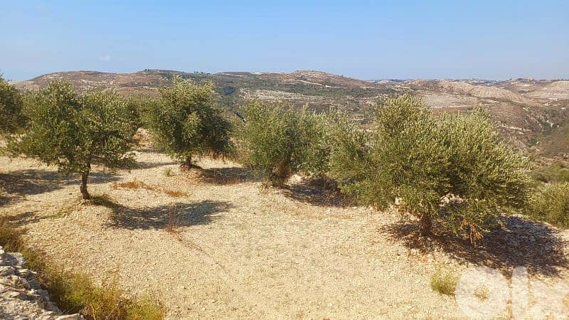 lands for sale in Kfarhata أرض للبيع في كفرحاتا 2