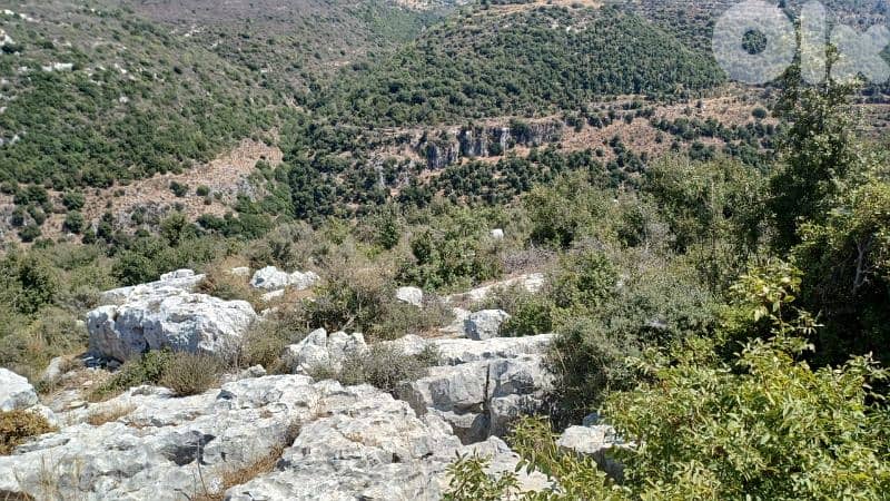 Land for sale in batroun أرض للبيع في البترون 1