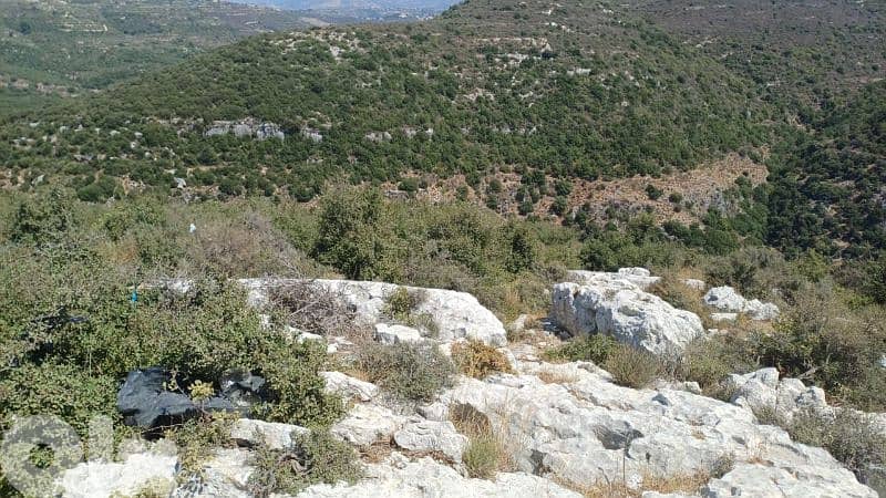 Land for sale in batroun أرض للبيع في البترون 2