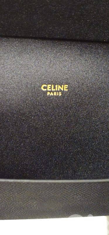 Celine Triomphe women Sunglasses 1