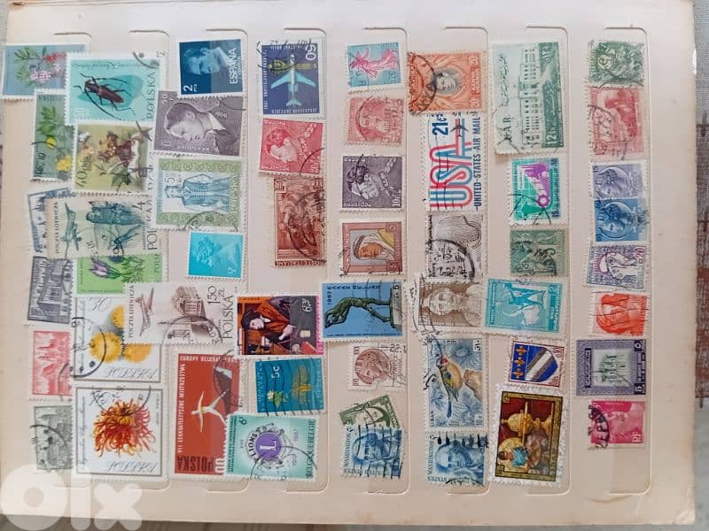 collection of old stamps 8