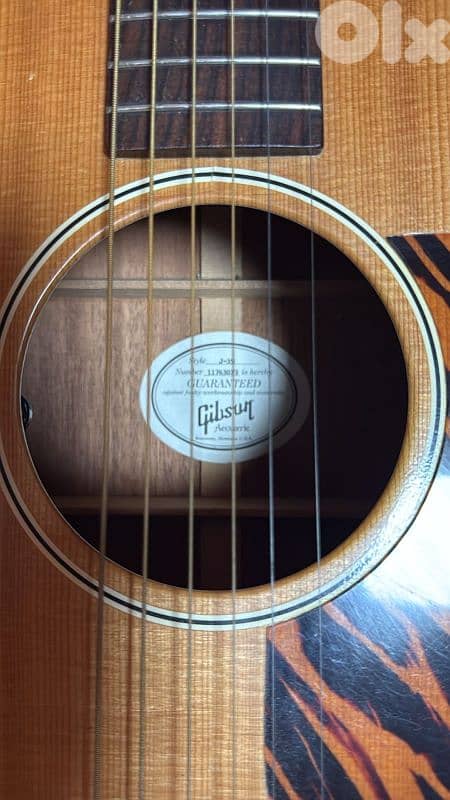 Gibson J-35 Electro Acoustin 4