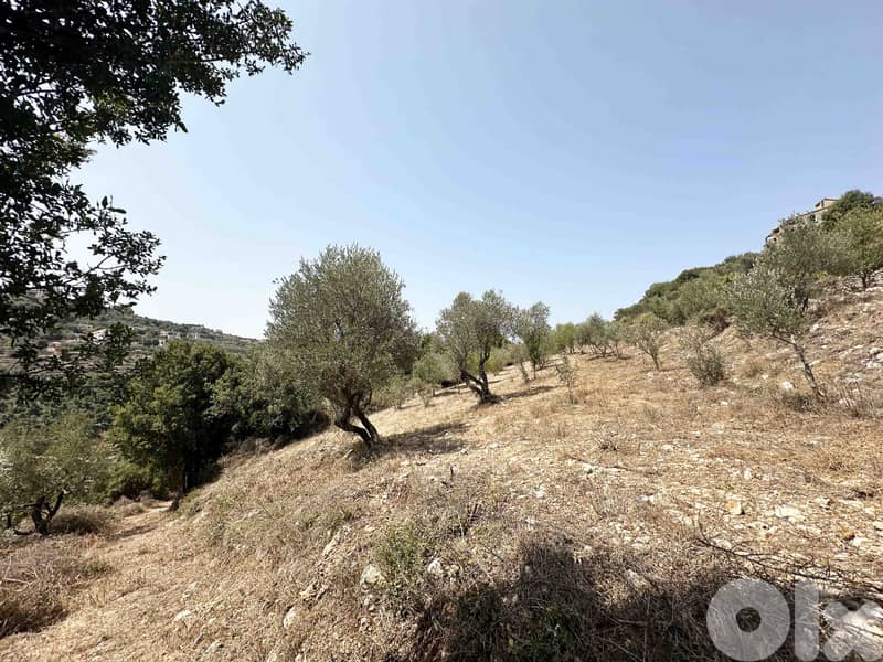 Land In Bejjeh Jbeil | For Sale | أرض للبيع | جبيل | PLS 26326 8