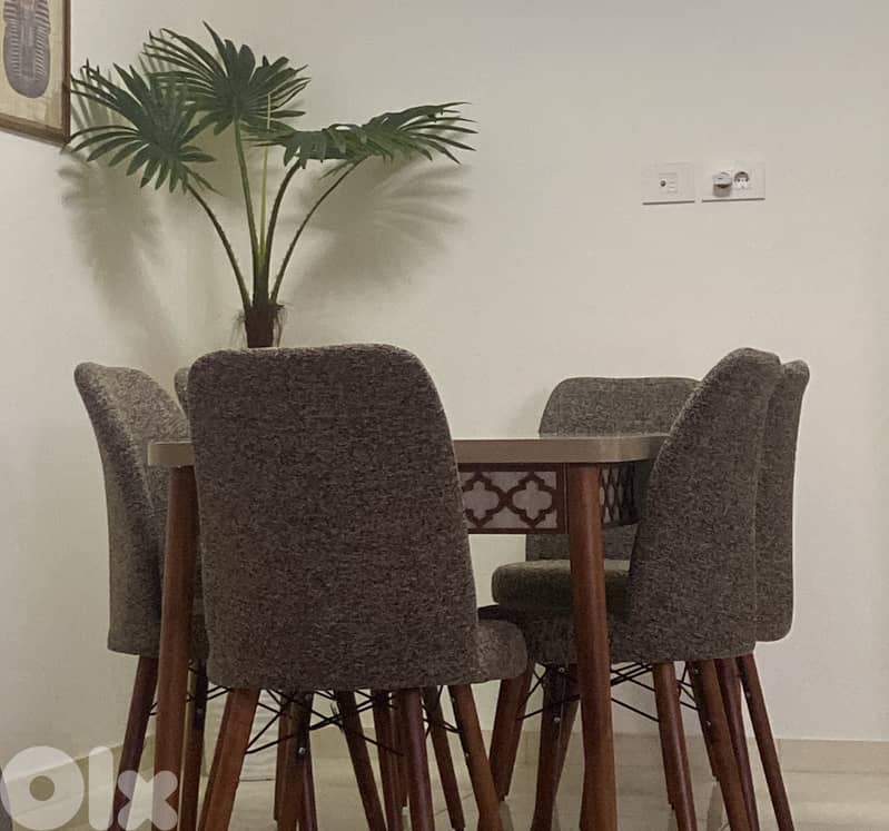 Dining table with 6 chairs 1