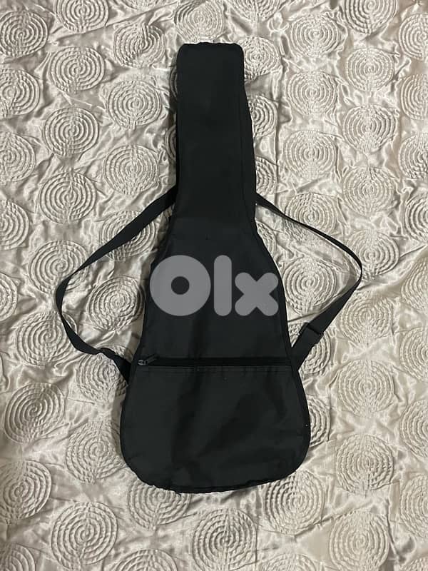 Classic guitar brand fiesta 4