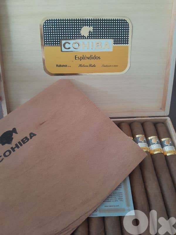 Esplendidos box 1
