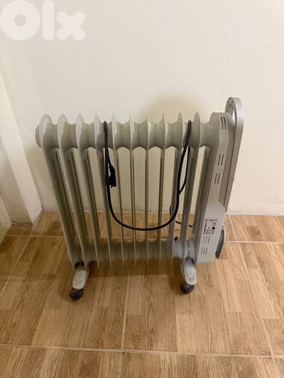 Camponatic Electric Heater