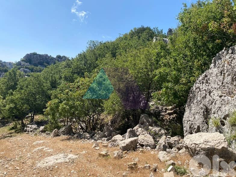 1000m2 land+mountain view-Prime Location-4sale in Faytroun 0