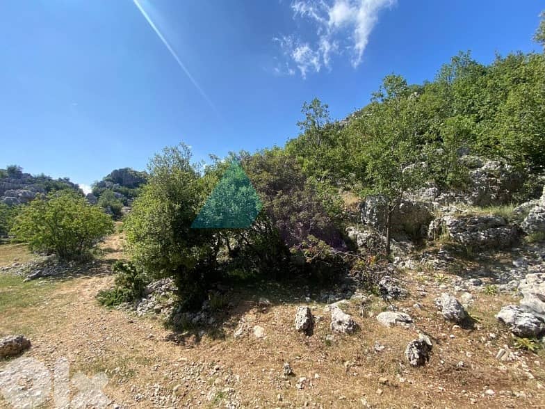 1000m2 land+mountain view-Prime Location-4sale in Faytroun 2