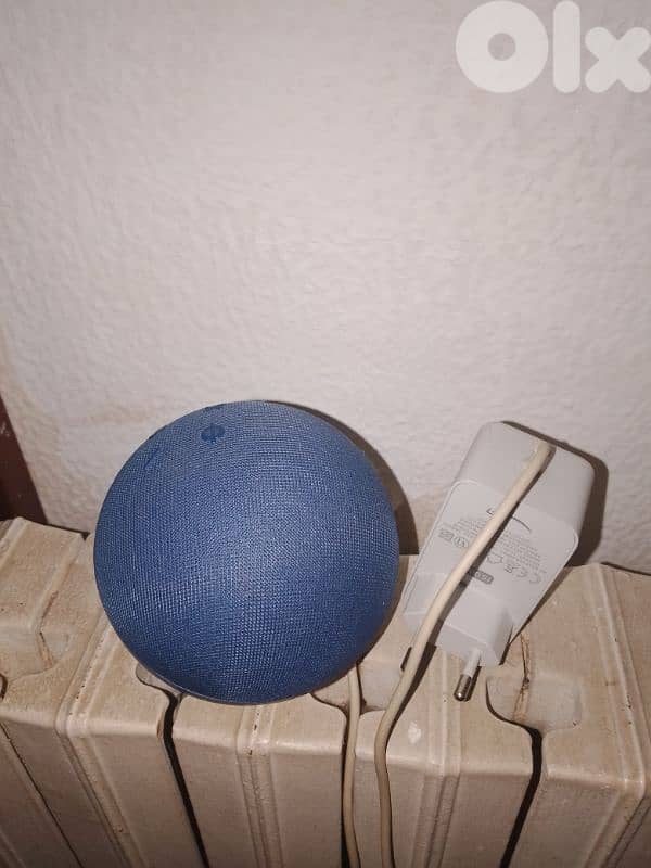 Amazon Alexa echo 0