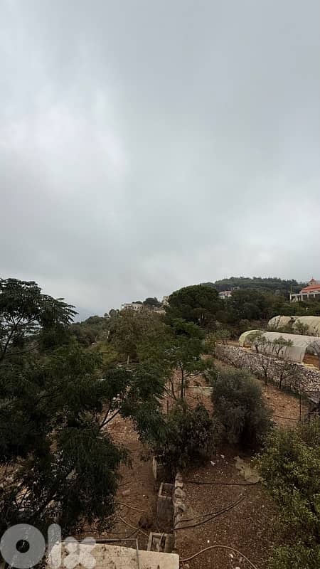 Loulou’s guesthouse 14