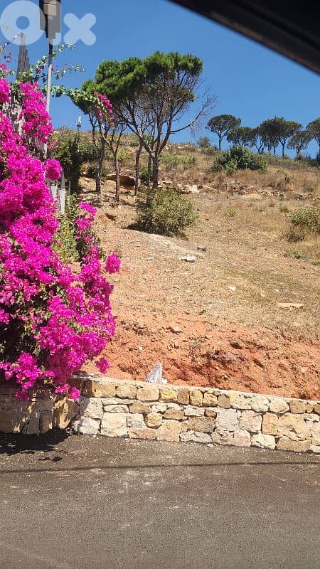land for sale in ain saade أرض للبيع في عين سعاده 1