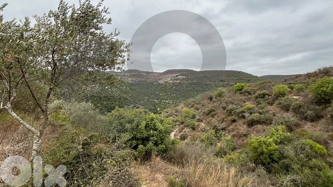 LAND / MOUNTAIN VIEW IN IJDABRINE / KOURA . REF#MU125602 2