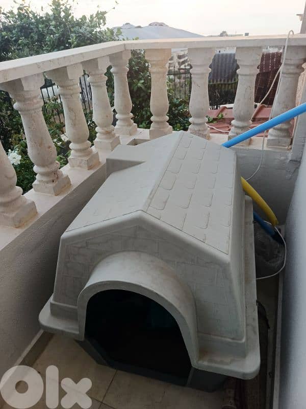 huge Dog house 2